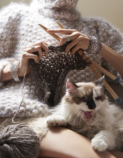 Họa tiết mèo - Cảm hứng thời trang mới năm 2016