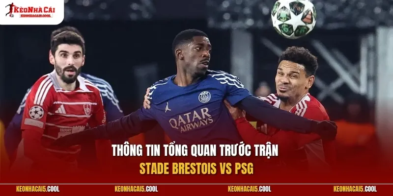 Thông tin tổng quan trước trận Stade Brestois vs PSG